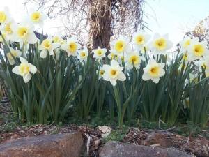 11076236_10155429374425002_2570655185326664061_n