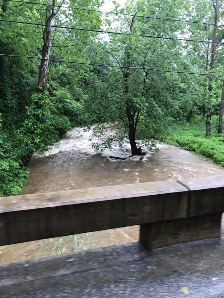 34384049_2012020032460692_6026505081032015872_n